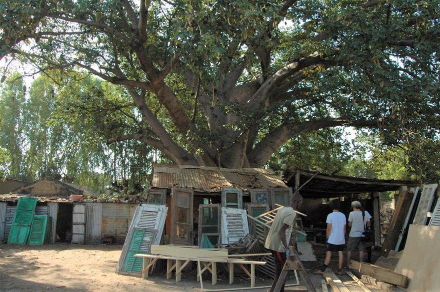 Fabrication des portes sous le Baobab chez Radim le menuisier avec Marley